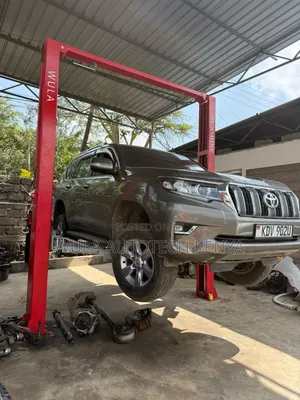 4t Two Post Carlift Machine Best Design and I Quality Sunshine