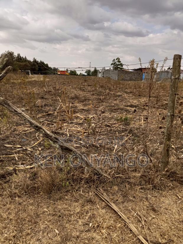 1/4 Acre Vacant Plot for Sale in Ngata - thumbnail 5
