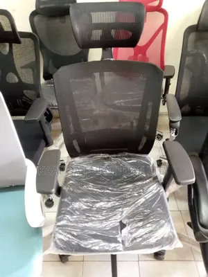 Metalic Back Executive Office Chair