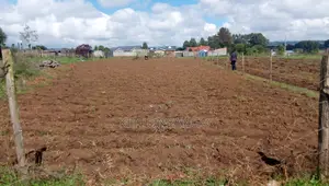 1/4 Acre for Sale in Green Valley Estate, Egerton