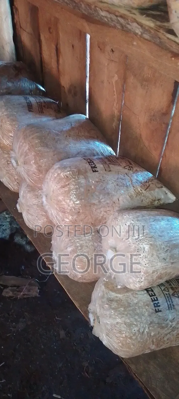 Mushroom Grow Bags