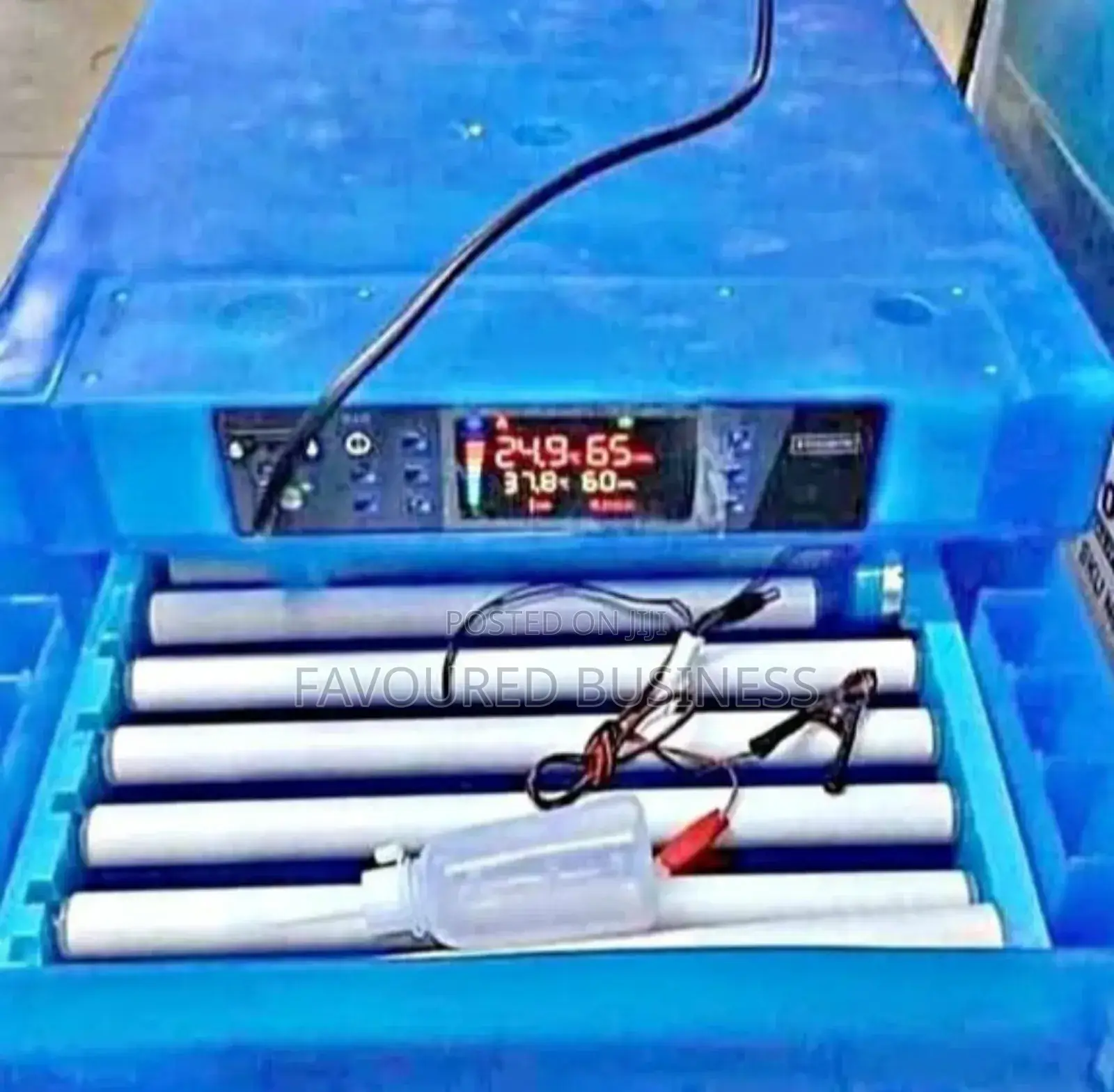 Imported Eggs 64 Incubator/ Incubator Eggs
