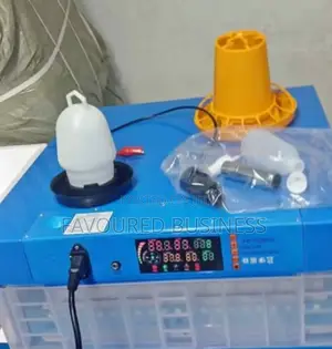 Best Option Eggs Incubator/64 Eggs Incubator