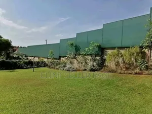 Privacy Screen Net (Fencing Net)