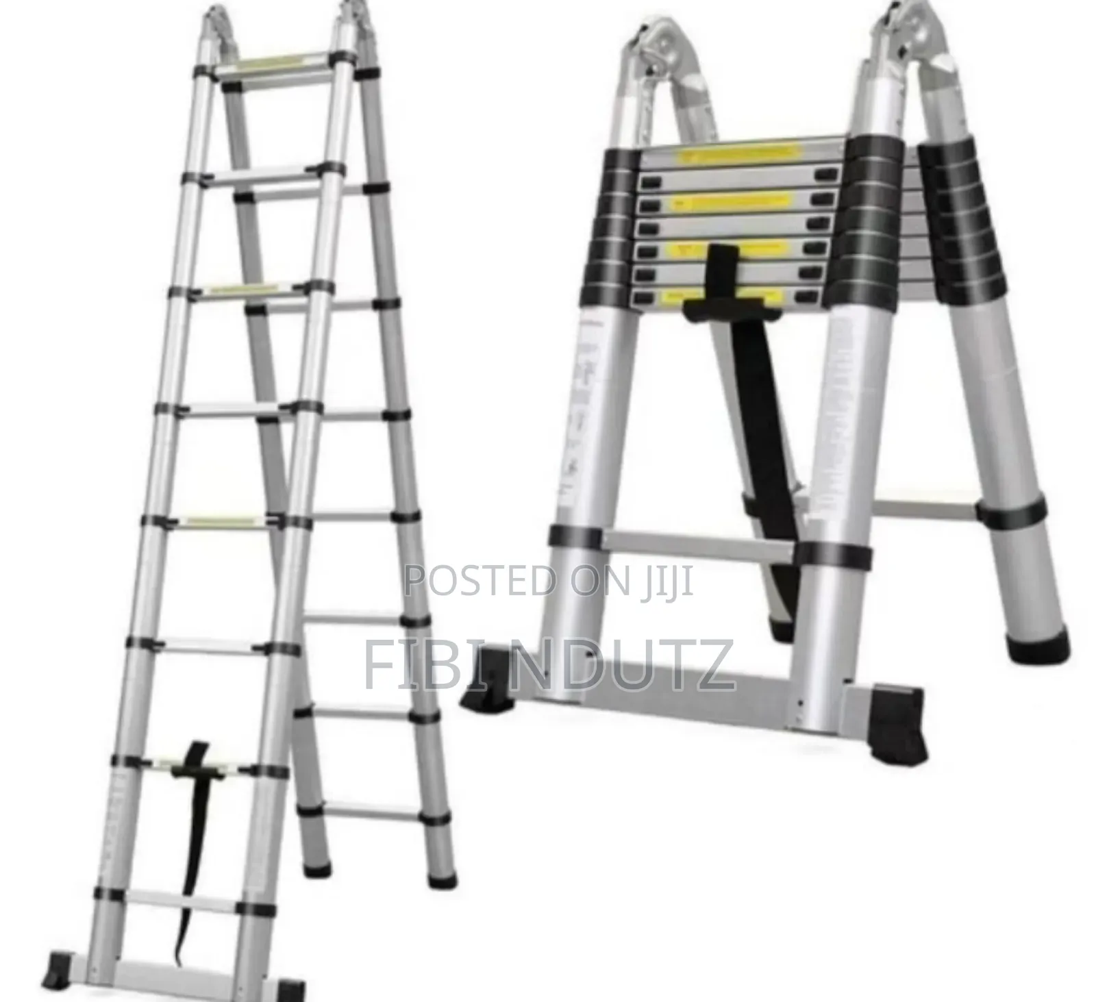 Double Sided Telescopic Ladder/Extending Ladder