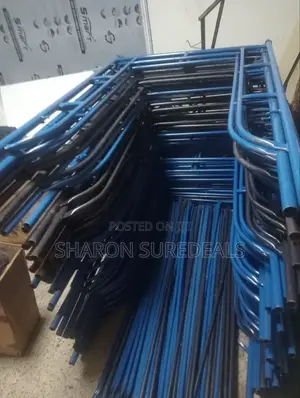 Scaffolding Ladder