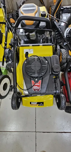 Wasp 139cc Petrol Lawn Mower.