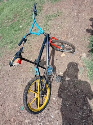 BMX Bicycle