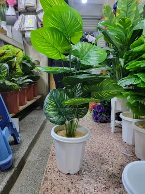 Stripped Plant Plus Vase in Stock