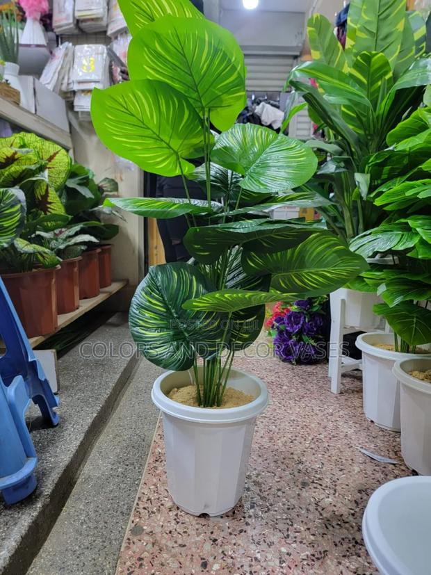 Stripped Plant Plus Vase in Stock
