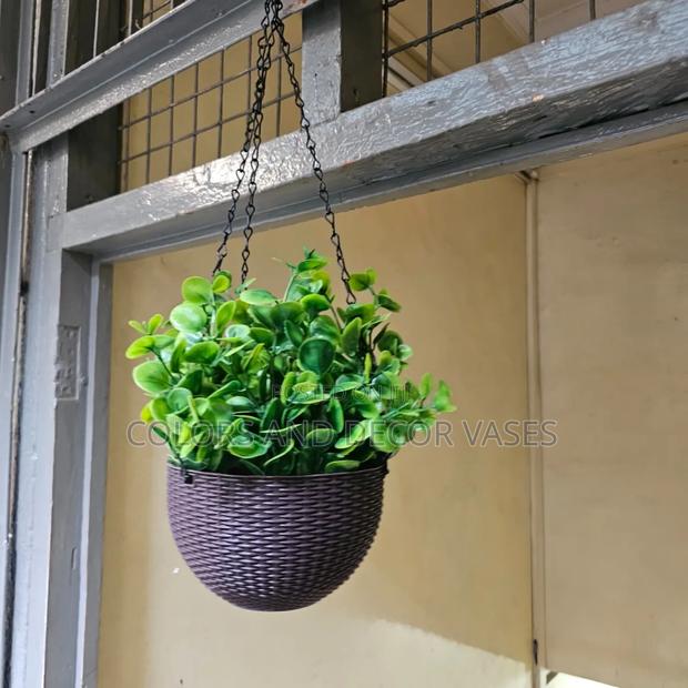 Beautiful Hanging Plants Plus Vase