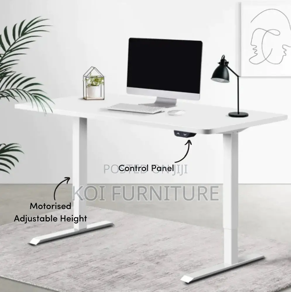 Office Desk : 1.2m Height Adjustable Electric Desk