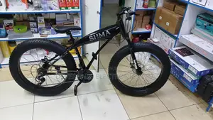 Sanhema Fat Tyre Bicycle