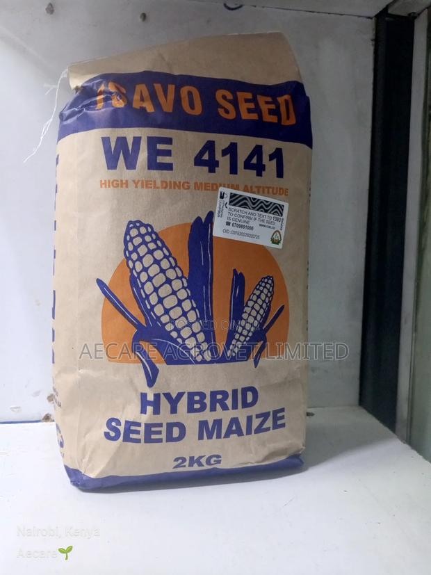 Maize Tsavo Seeds 4141 . 2kgs - thumbnail 2