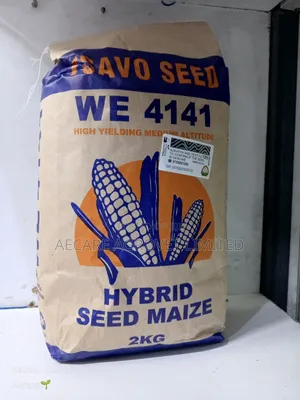 Maize Tsavo Seeds 4141 . 2kgs