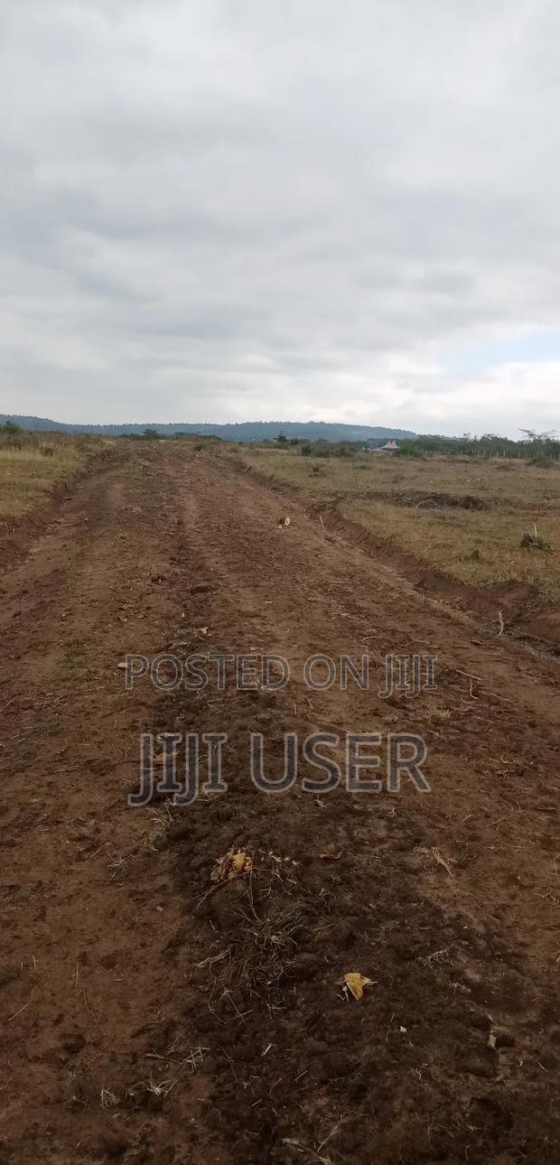 Muthwani Land 50 X 100 - thumbnail 2