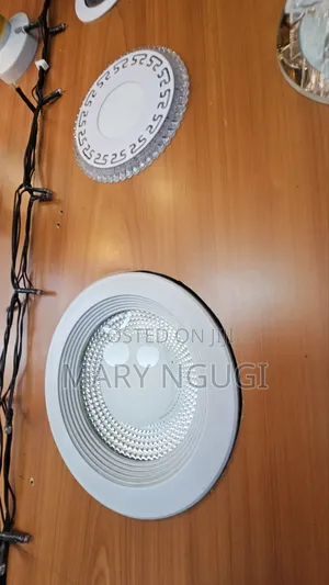 10w Cob Downlighters