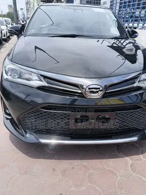 Toyota Axio 2019 Black