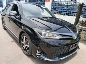 Toyota Axio 2019 Black