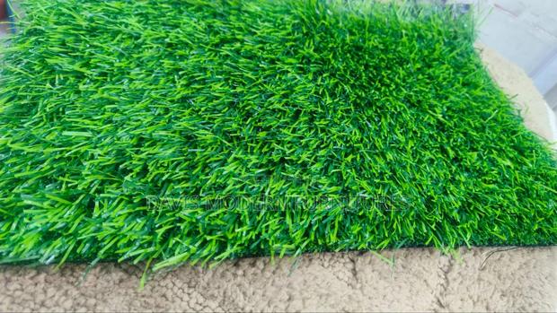 Astro Turf - main view
