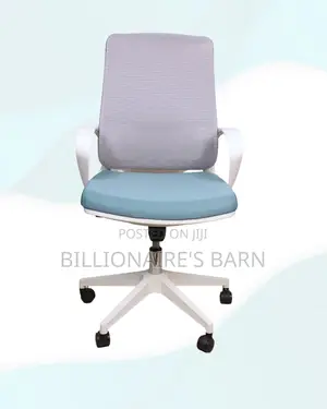 White Ergonomic Mesh Office Chair Mid Back Lumbar Support Adjustable