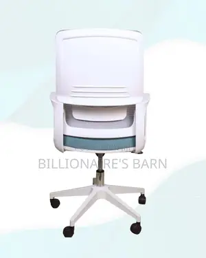 White Ergonomic Mesh Office Chair Mid Back Lumbar Support Adjustable