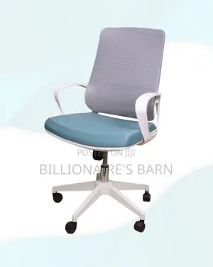 White Ergonomic Mesh Office Chair Mid Back Lumbar Support Adjustable