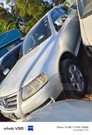 Volkswagen Touareg 2.5 2007 Silver