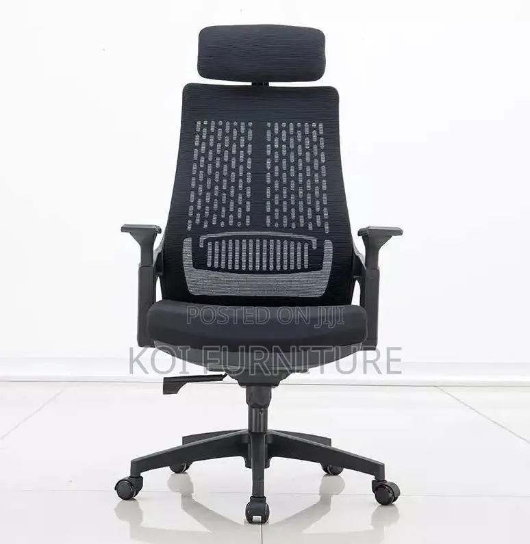 Office Chair : Lama Orthopedic Ergonomic Office Chair