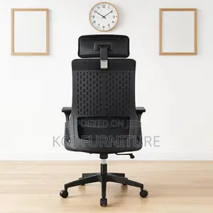Office Chair : Lama Orthopedic Ergonomic Office Chair