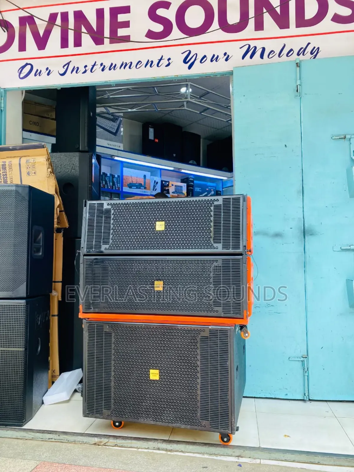 Tremor Professional Speakers