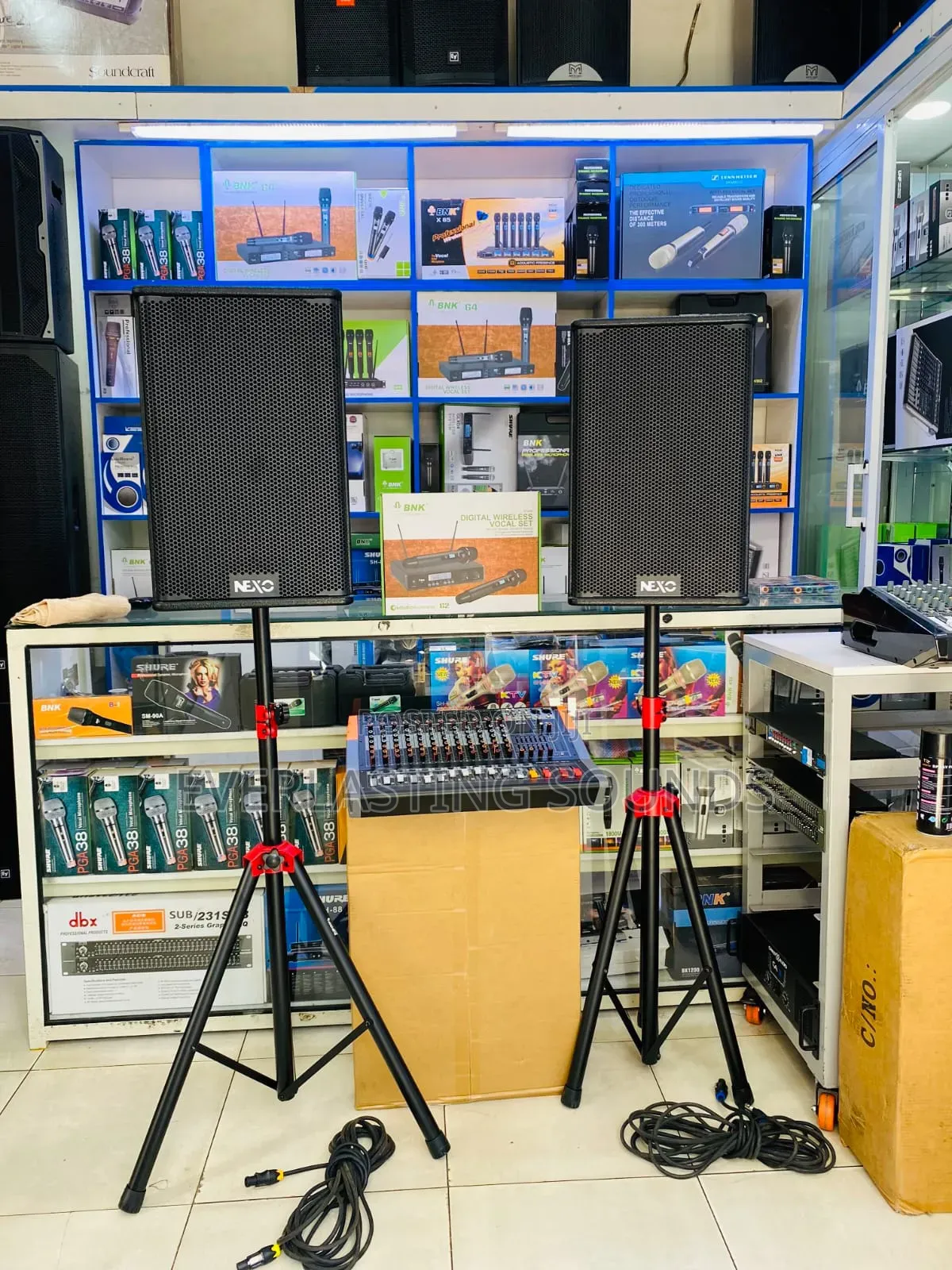 Nexo Professional Audio Speaker System