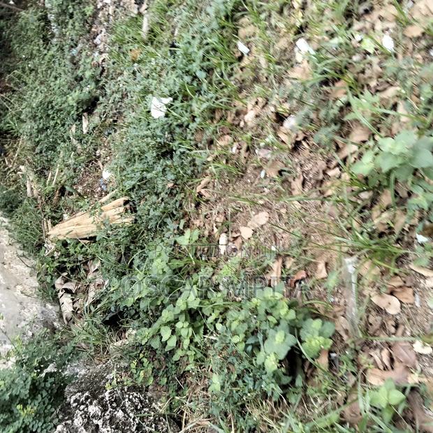 Land for Sale - thumbnail 8