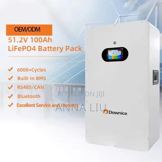 5kwh 100ah 51.2v Deep Cycle LFP Battery Wall Mounting