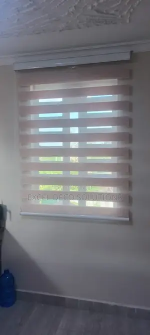 Zebra Roller Blind Window Treatment