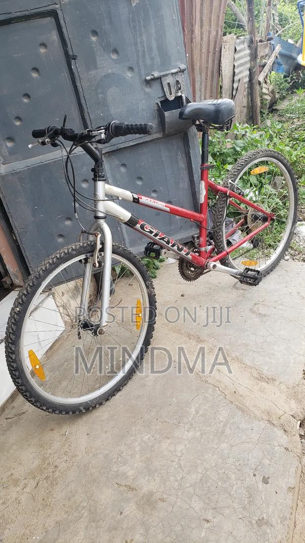 Giant Boulder Mountain Bike - main view