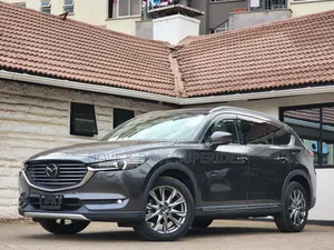 Mazda CX-8 2.2 AWD (7 seater) 2019 Gray