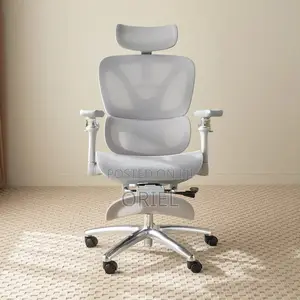 Modern Office Chair : Executive Orthopedic White Office Seat