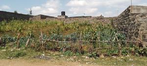 1/4 Acre Vacant Plot for Sale in Egerton - thumbnail 2