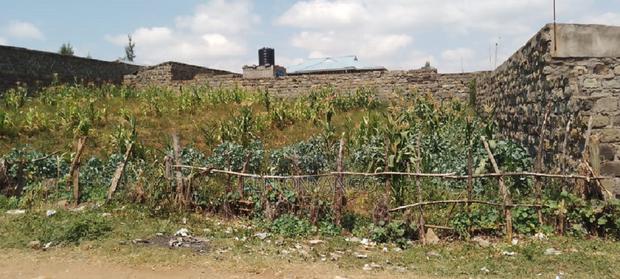 1/4 Acre Vacant Plot for Sale in Egerton - main view