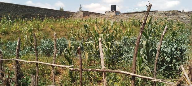 1/4 Acre Vacant Plot for Sale in Egerton - thumbnail 4