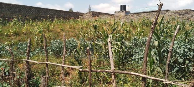 1/4 Acre Vacant Plot for Sale in Egerton - thumbnail 5