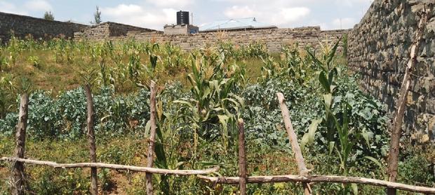 1/4 Acre Vacant Plot for Sale in Egerton - thumbnail 6