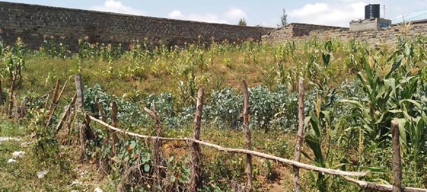 1/4 Acre Vacant Plot for Sale in Egerton - thumbnail 7