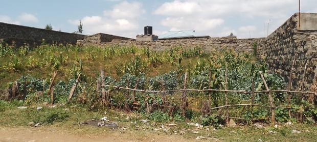 1/4 Acre Vacant Plot for Sale in Egerton - thumbnail 8