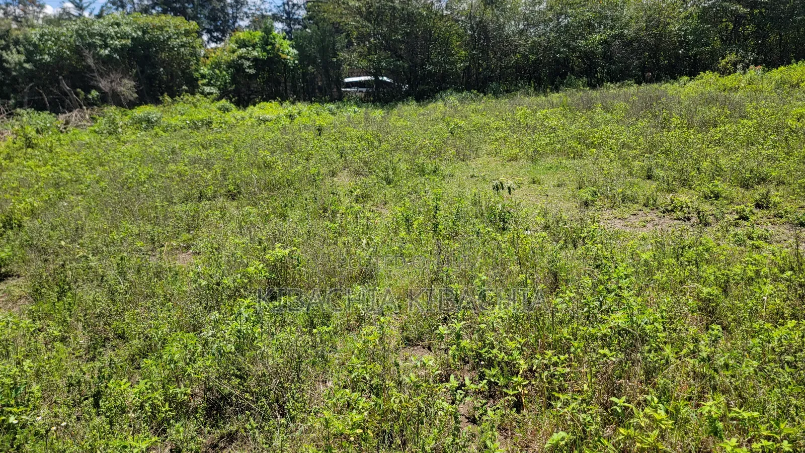 4 Plots 50*100