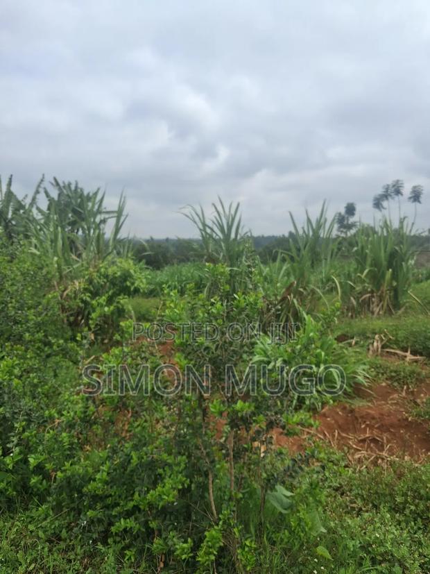 Runda Park Very Prime Fully Serviced Well Drained Red Soil 1/2 Acre