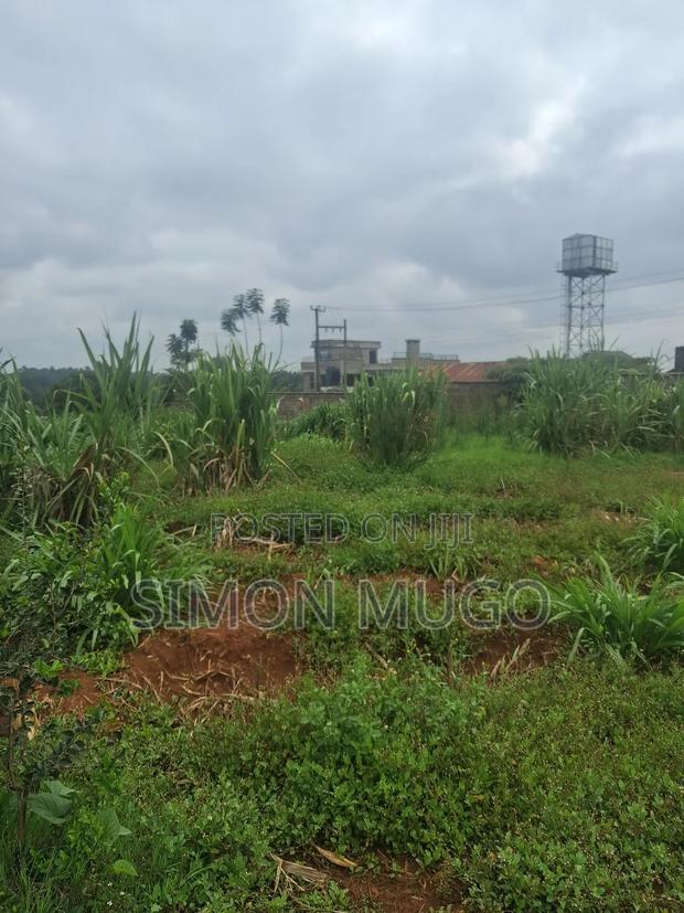 Runda Park Very Prime Fully Serviced Well Drained Red Soil 1/2 Acre - thumbnail 5