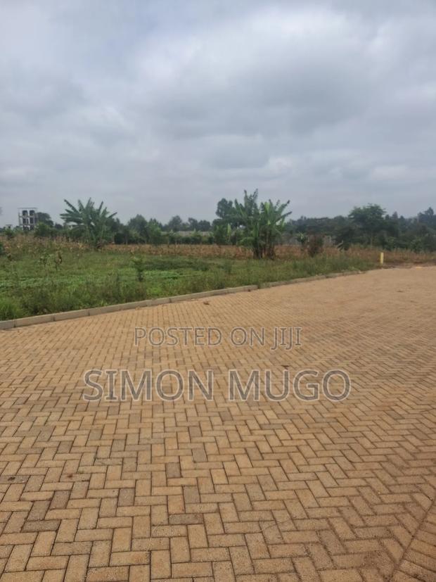 Runda Park Very Prime Fully Serviced Well Drained Red Soil 1/2 Acre - thumbnail 7