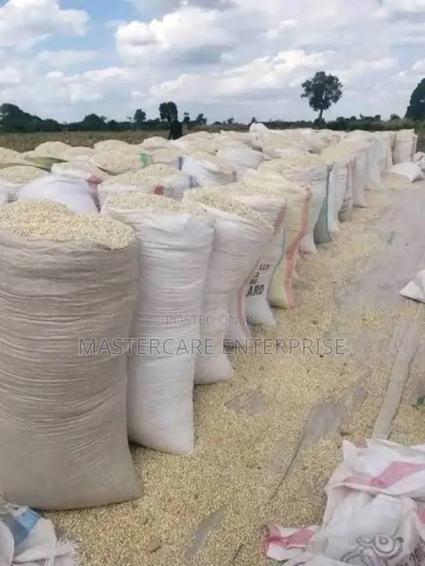 Maize 90 Kg